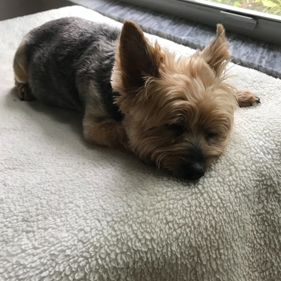 Meet your Posher, Heather - Picture 7 of 8